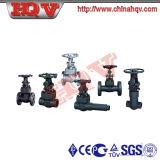High Quality Forged/Cast Steel Gate Valve
