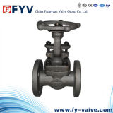 API Forged Steel Gate Valve with Manual