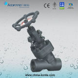Forged Y Type Globe Valve with A105 Material
