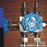 Forged Steel A105/Lf2/F11/F304/F316 Manifold Valve