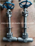 Avc Cryogenic Lcb Gate Valve and Forged Steel Gate Valve