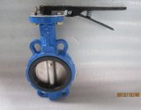 Butterfly Valve for Water Treatment