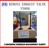 Kubota Engine Parts Exhaust Valve V3800