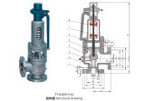 High Temperature and High Pressure Safety Valve (TFA48SH-64)