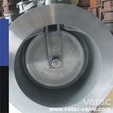 Spring Loaded Cast Steel Wcb/Lcbwafer Swing Check Valve