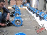 Awwa Double Flanged Butterfly Valve with Gear Box (D341W)