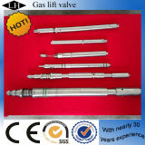 China Manufacturer Gas Valves for Oil Production (LH00302)