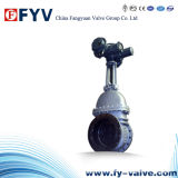 API 600 Wedge Gate Valves with Gear Operation