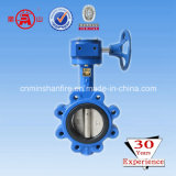 Hot Dn40 Lt Type Worm Gear Operating Wafer Butterfly Valve