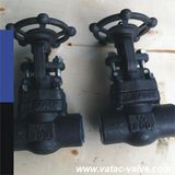 Forged Welded Bonnet Welded Flange Gate Valve