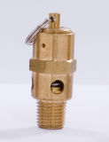 safety valve (BSV-02)