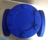 DIN Cast Iron Swing Check Valve with Flange