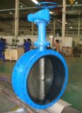 Double Flange Butterfly Valve