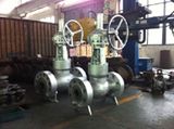 Pressure Seal Cast Steel Gate Valve