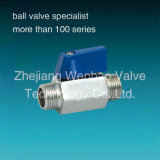 Male and Male Thread Stainles Steel Mini Ball Valve M/M
