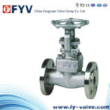 API Forged Steel Solid Wedge Gate Valves
