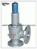 Spring Type Safety Relief Valves