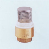 Check Valve with Stainless Steel Filter (GD2903)