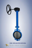Extension Bar Worm Gear Butterfly Valve with Pin