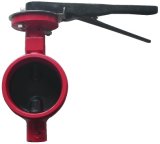 GrooveD End Butterfly Valve (IBXOO-GE)