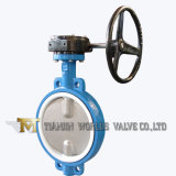 PTFE Lining Butterfly Valve with Double Half Stem D371f4