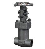 Forged Steel Bellows Seal Gate Valve (WZ41H)