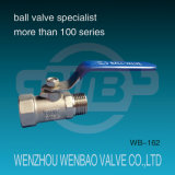 1 Piece Threaded Stainless Steel (304, 316) Manual Ball Valve M/F