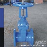 Flanged RF or FF Rising Stem Gate Valve with Brass or Bronze Seat