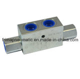 Double Acting Pilot Operated Check Valves