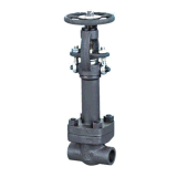 Forged Steel A105 Cryogenic Gate Valve