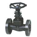 Flanged End Gate Valve (LIFC4010)