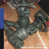A105/F304/F316 800lb Forged Steel Gate Valve