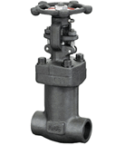 Bellows Gate Valve