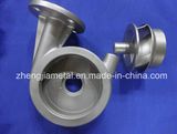 Stainless Steel Valve