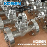 Forged Stainless Steel Flanged Ends Globe Valves