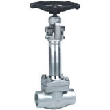 Lhdz11h, Dz11y Type 150 (Lb) to 800 (Lb) Forged Steel Gate Valve at Low Temperature