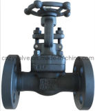 300lb, 1/2inch Flanged End Forged Gate Valve