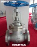 API Stainless Steel Globe Valve