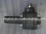 Cast & Forged Socked Welded Ball Valve