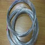 Nickel Wire with High Quality, 99.9% Purity