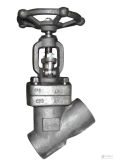 Y Type Forged Stainless Steel Globe Valve