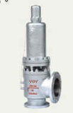 Spring Full Bore Type Safety Valve with a Radiator