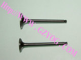 Motorcycle Parts Engine Valve (WY125)