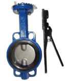 Cast Iron Rubber Lined Butterfly Valve