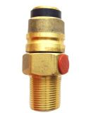 LPG Gas Cylinder Safety Brass Needle Gas Valve