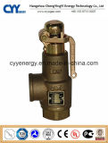 Cryogenic O2 N2 Safety Release Valve