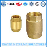 Vertical Brass Check Valve for Water Meter