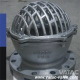 Stainless Steel Ss304/Ss316 RF Flanged Foot Valve