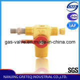 Qf-T1c Brass CNG Cylinder Valve (20MPa, 1/4 turn used in car)
