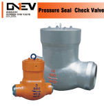 Bs Bolted Cover Spring Check Valves (H44H)
